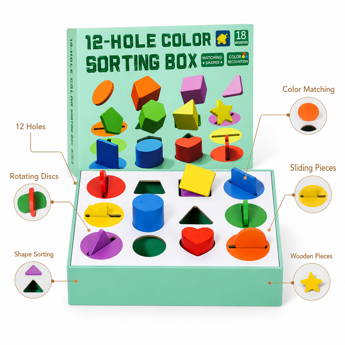 Montessori 12-Hole Sorting Box Montessori Nation