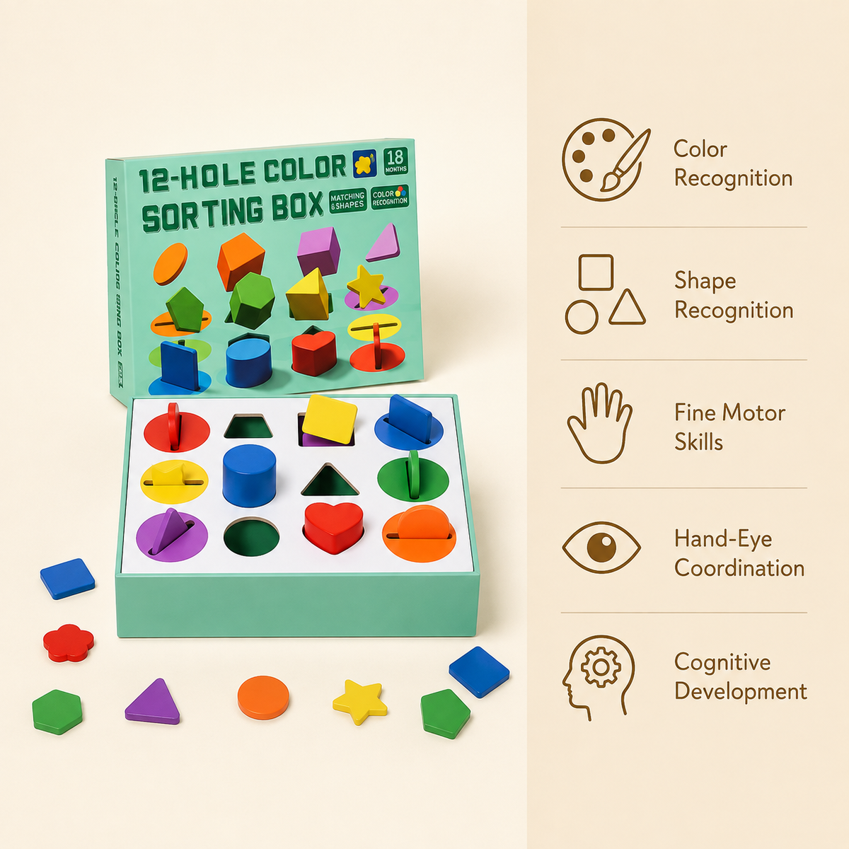 Montessori 12-Hole Sorting Box Montessori Nation