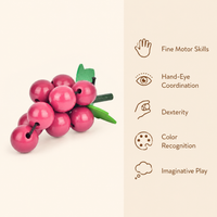 Montessori Grape Toy Montessori Nation