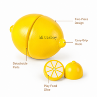 Montessori Magnetic Lemon Toy Montessori Nation
