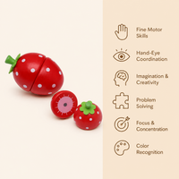 Montessori Magnetic Strawberry Toy Montessori Nation
